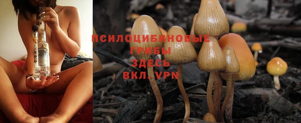 СК Козловка