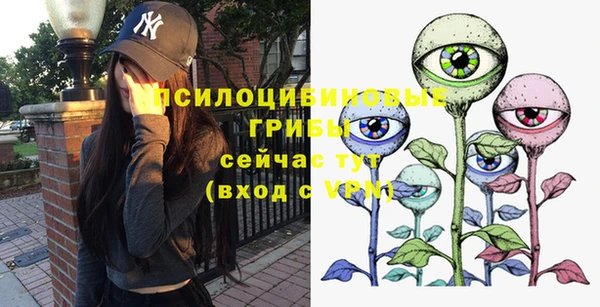 мяу мяу мука Корсаков