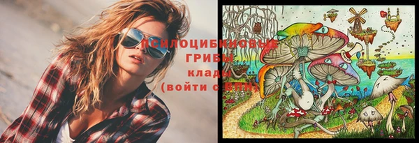 мяу мяу мука Корсаков