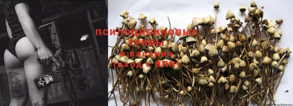 прущие крисы Козельск