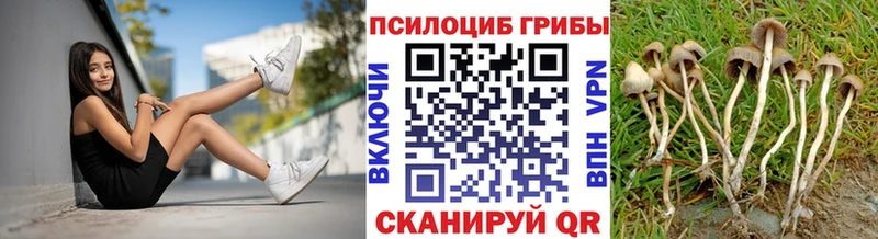 Купить где  Высоцк  Галлюциногенные грибы GOLDEN TEACHER 